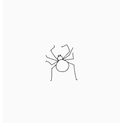 简笔画蜘蛛