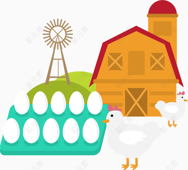养鸡场鸡蛋