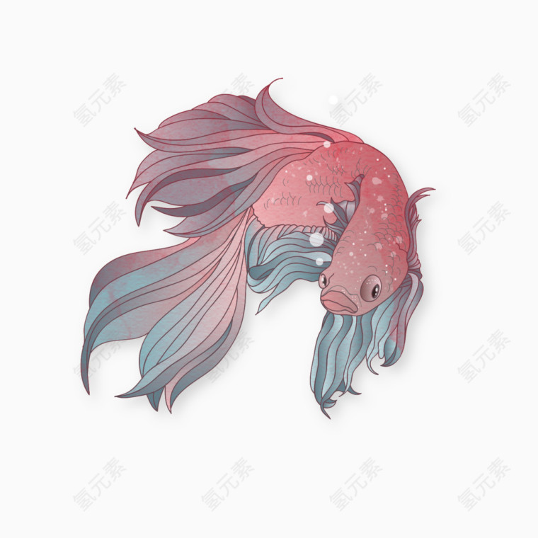 精致的彩绘红色金鱼