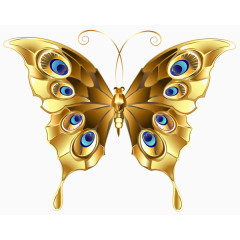 黄金立体奢华蝴蝶