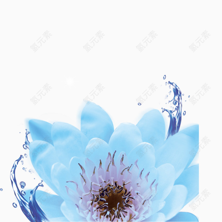 创意蓝色水嫩花朵
