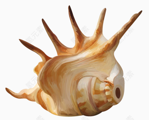 高清手绘海螺
