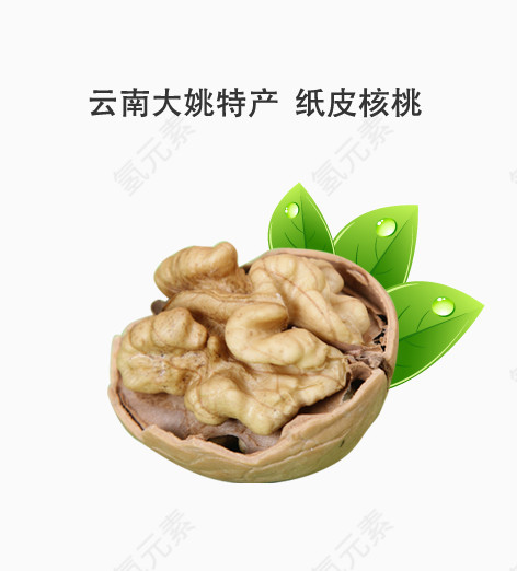 纸皮核桃