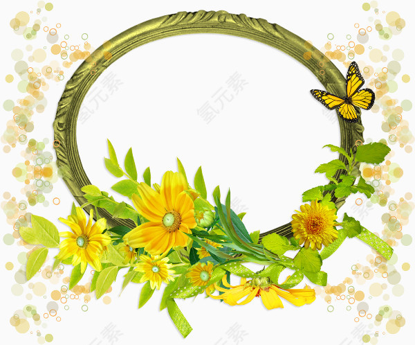 植物黄色花朵椭圆边框