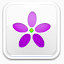 紫色小花图标