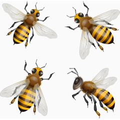 四只小蜜蜂
