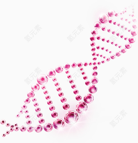 DNA