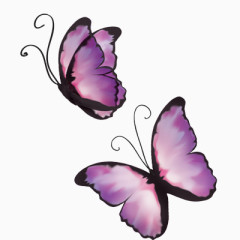 唯美彩绘紫色飞舞蝴蝶儿