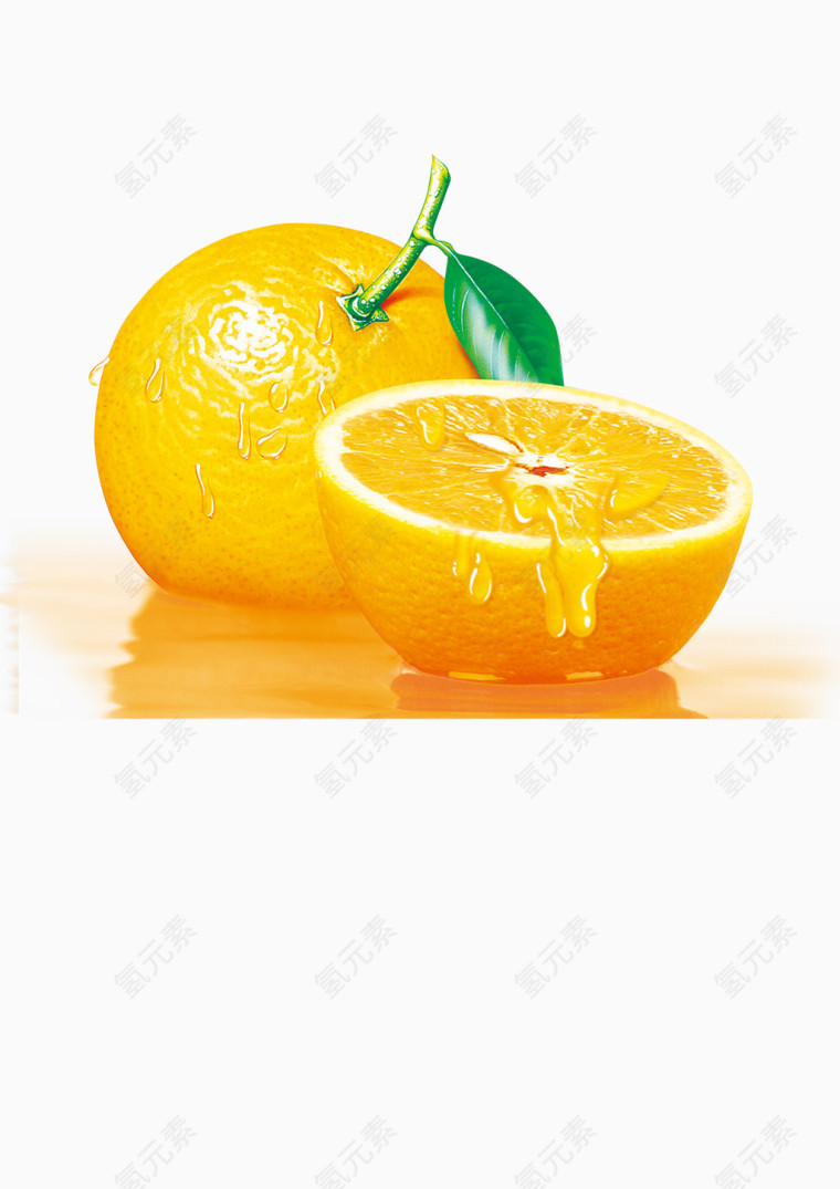 手绘逼真橙子