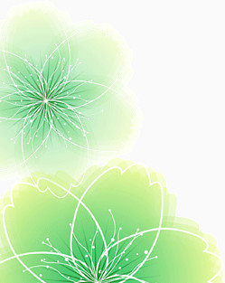 绿色缤纷花瓣晕染柔光