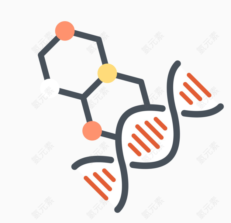 矢量DNA素材