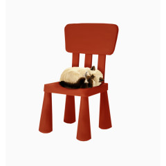 橙色椅子猫咪