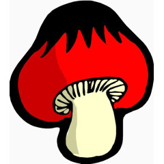 新鲜蘑菇