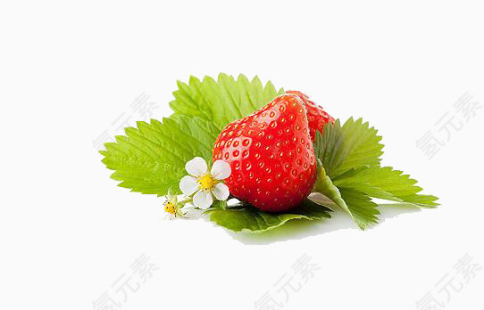 躺在绿叶上的草莓