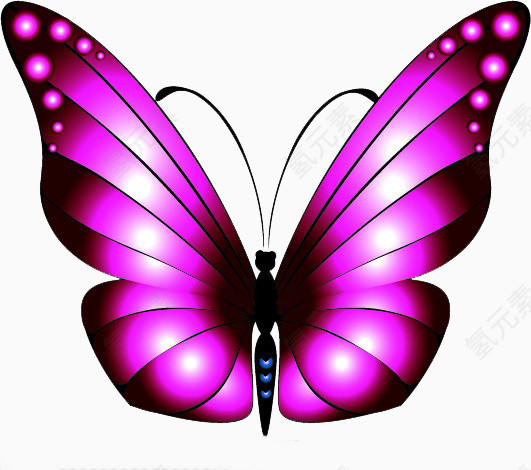 紫光蝴蝶