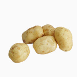 可爱小土豆