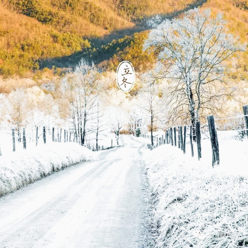 雪景立冬下载