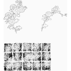 线描花卉