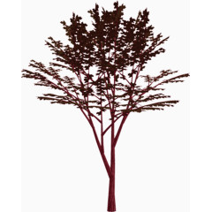 褐色树景观树效果贴图
