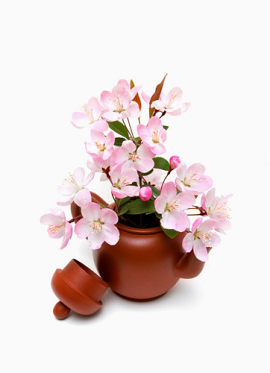 桃花 花盆 花瓶