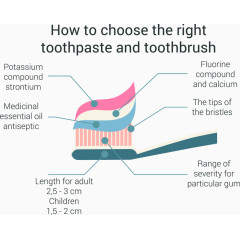 如何选择合适的牙膏信息图表矢量