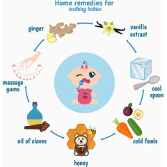 矢量卡通婴儿牙齿牙科保护注解