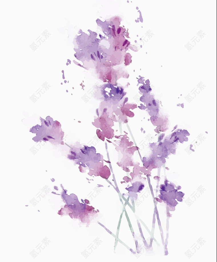 矢量水彩紫藤花