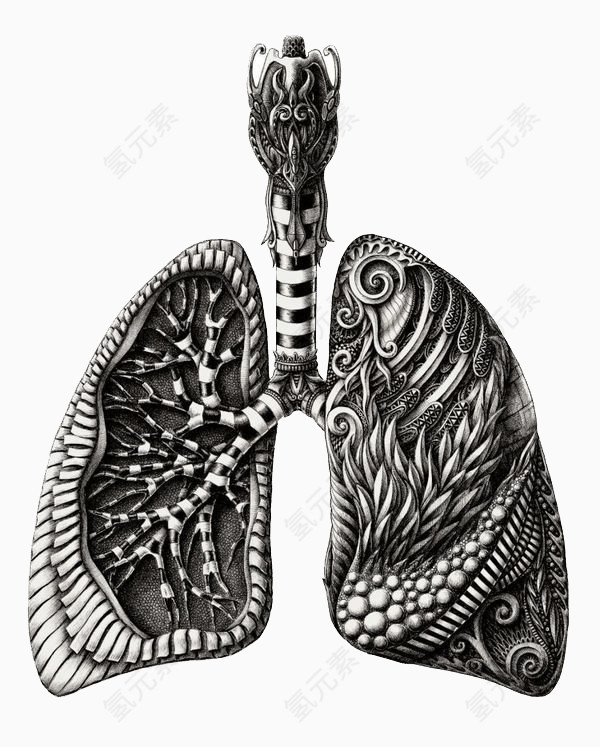 肺部器官插画创意