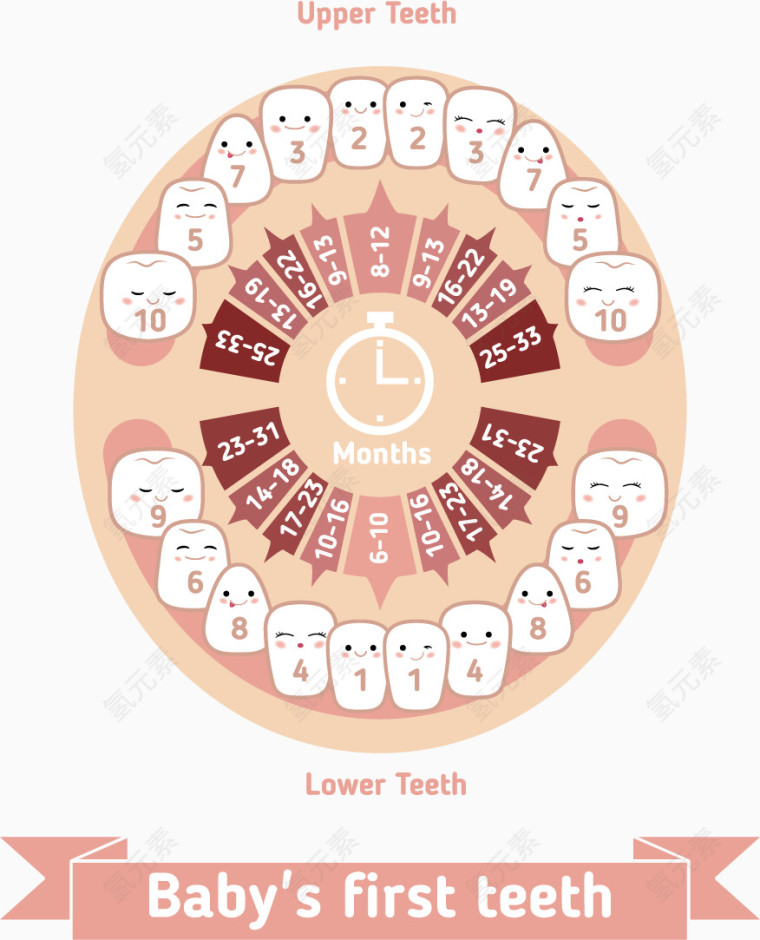 矢量卡通婴儿牙齿牙科保护注解
