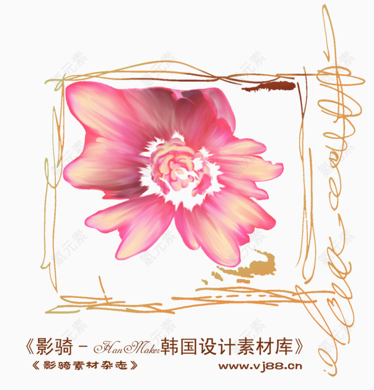 花纹