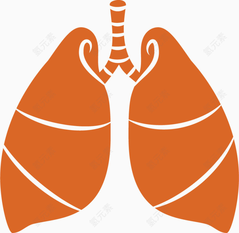 矢量肺部剪影造型