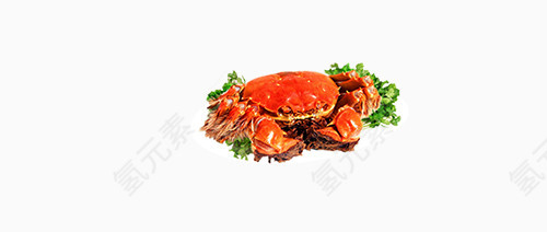 一只红烧螃蟹