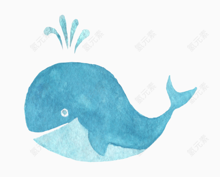 鲸鱼手绘