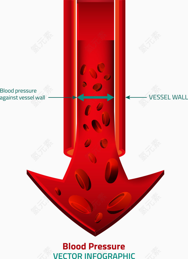 矢量血管箭头