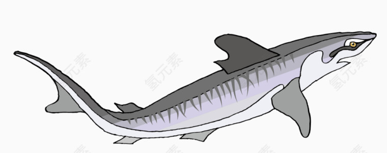 矢量大鲨鱼素材