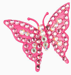 珠宝装饰的蝴蝶