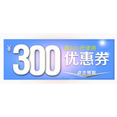 300元优惠券