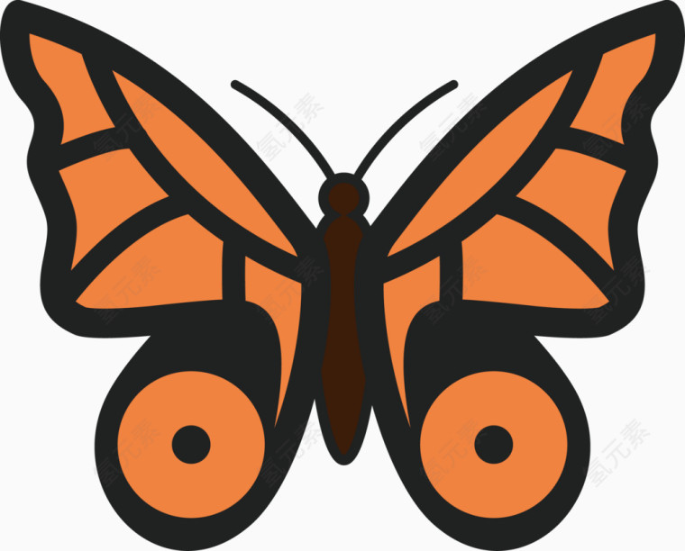 艺术橙蝶