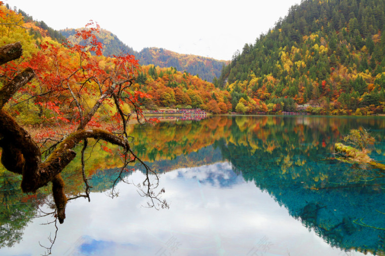 秋游九寨沟