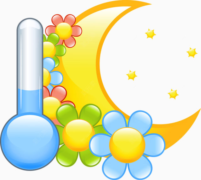 月亮花朵和测温计下载