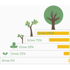 树生长阶梯说明图