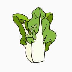 手绘绿色白菜叶子图片