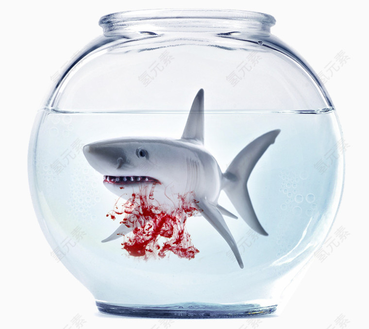 嗜血的大白鲨