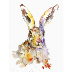 绘画作品的兔子