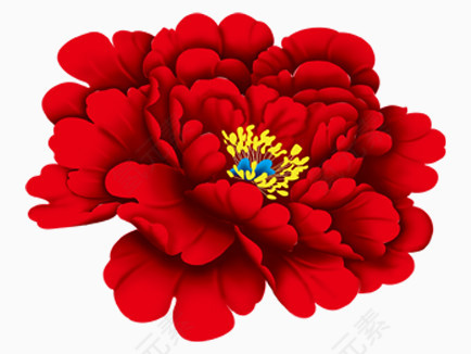 红色装饰花朵