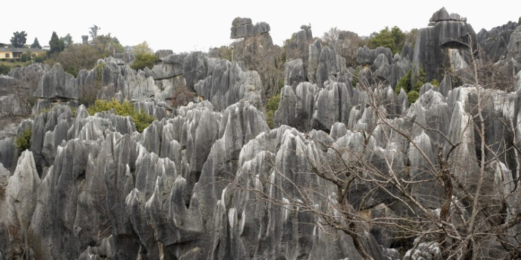 石林风景