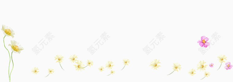 雏菊黄色小花