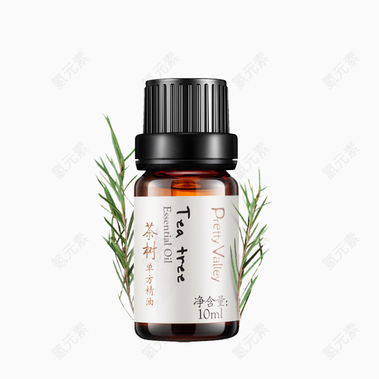 茶树精油tea tree