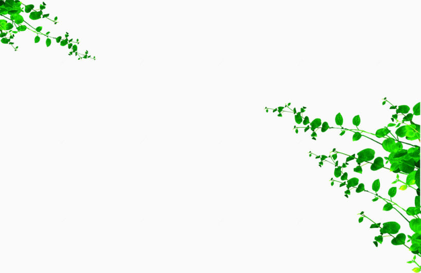 绿色藤蔓免抠素材免费下载下载