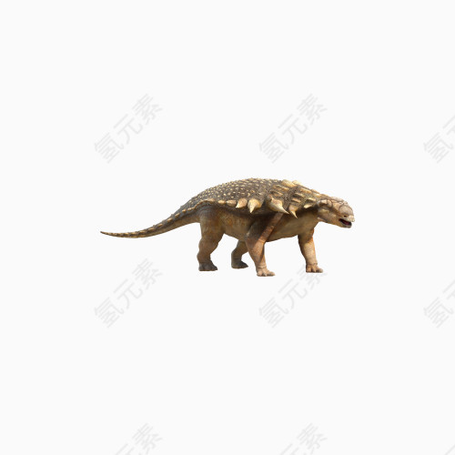 恐龙 动物 灭绝 远古